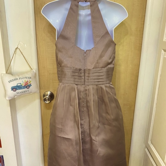 Max and Cleo “Diana” Organza Halter Midi Dress - Picture 4 of 16